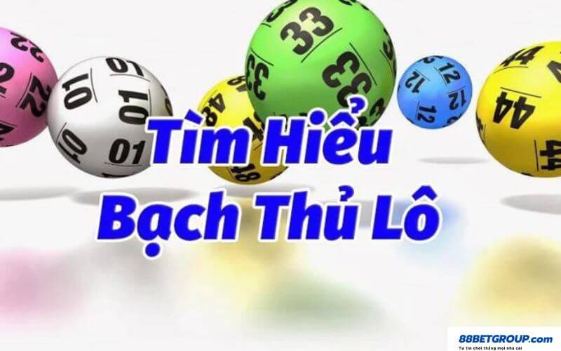 Bạch thủ lô là gì