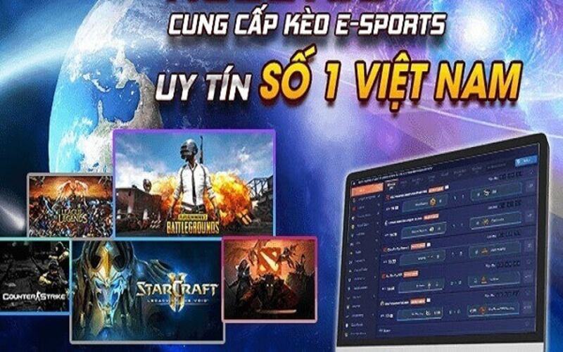 Tiêu chí để đánh giá trang cá cược esport chất lượng