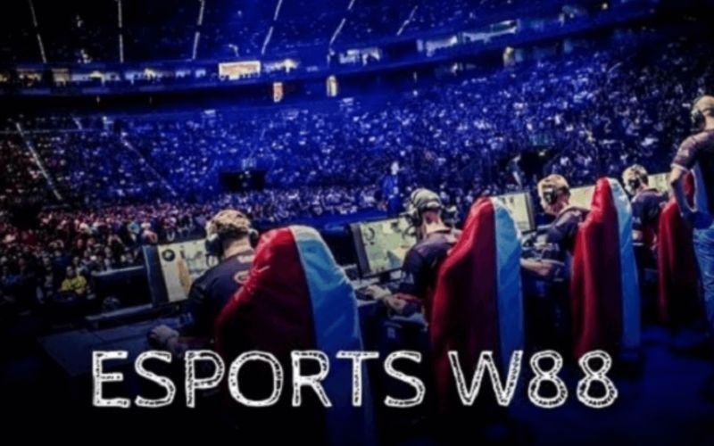 Nhà cái Esport uy tín nhất hiện nay