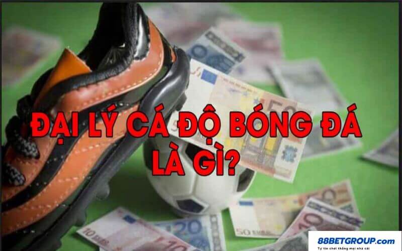 Đại lý cá độ bóng đá là gì