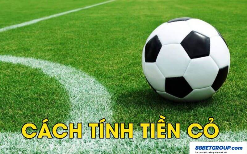 Cách tính tiền cỏ