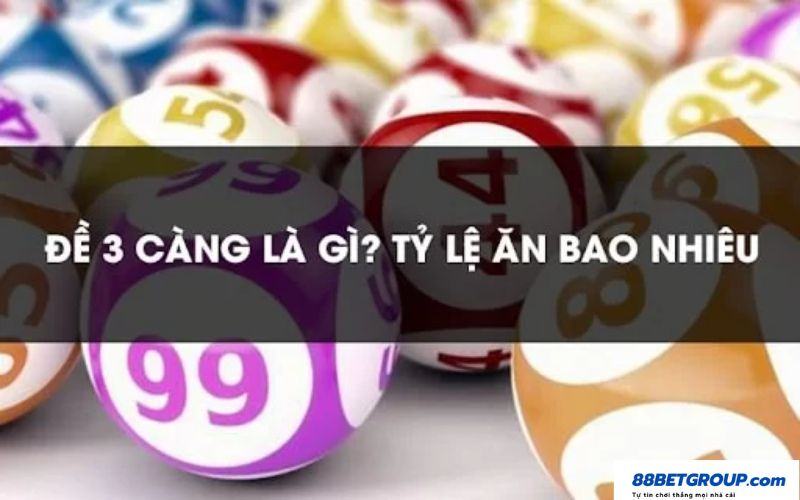 Đề 3 càng là gì